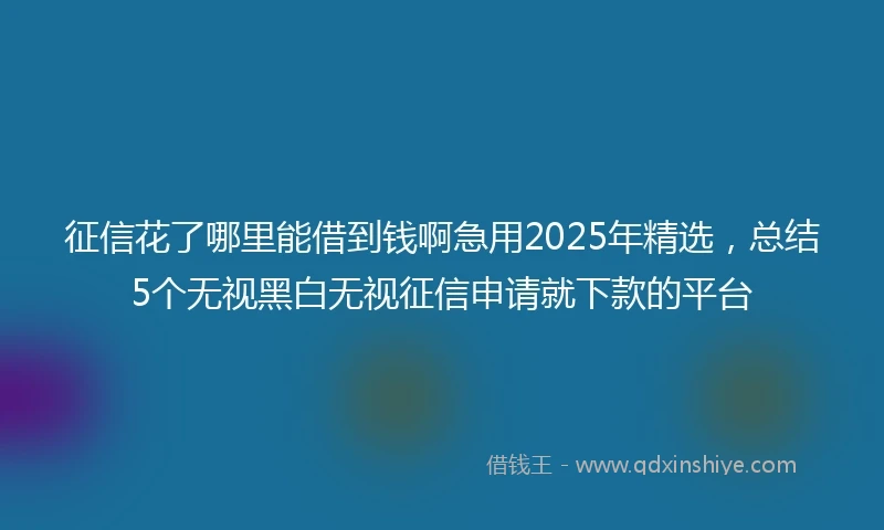 征信花了哪里能借到钱啊急用2025年精选，总结5个无视黑白无视征信申请就下款的平台