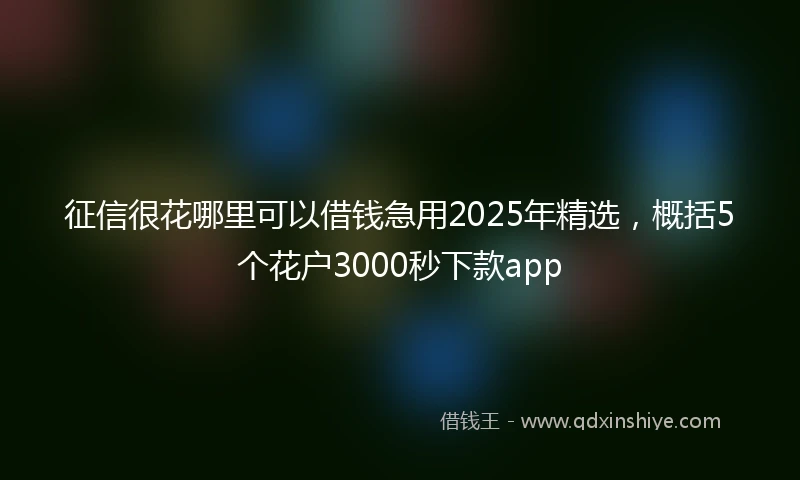 征信很花哪里可以借钱急用2025年精选，概括5个花户3000秒下款app