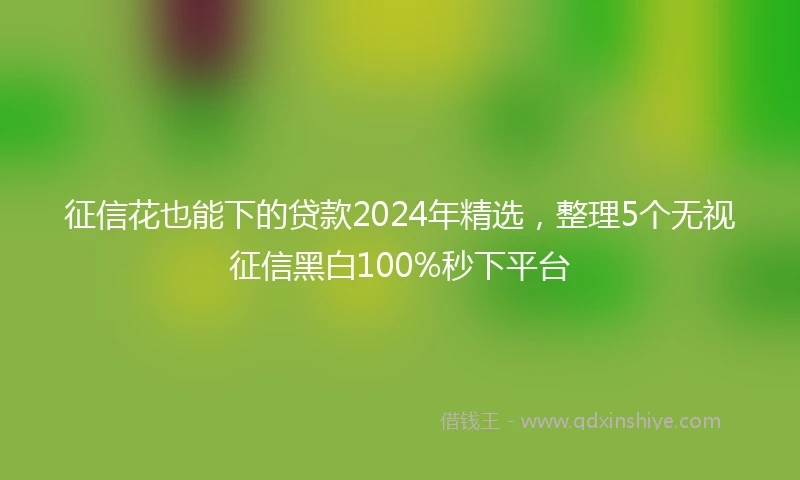 征信花也能下的贷款2024年精选，整理5个无视征信黑白100%秒下平台