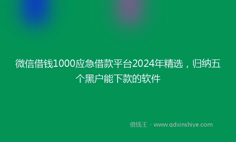 微信借钱1000应急借款平台2024年精选，归纳五个黑户能下款的软件