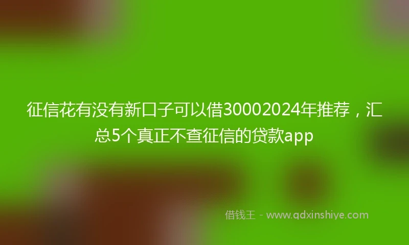 征信花有没有新口子可以借30002024年推荐,汇总5个真正不查征信的贷款app