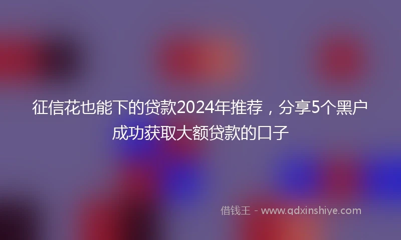 征信花也能下的贷款2024年推荐，分享5个黑户成功获取大额贷款的口子