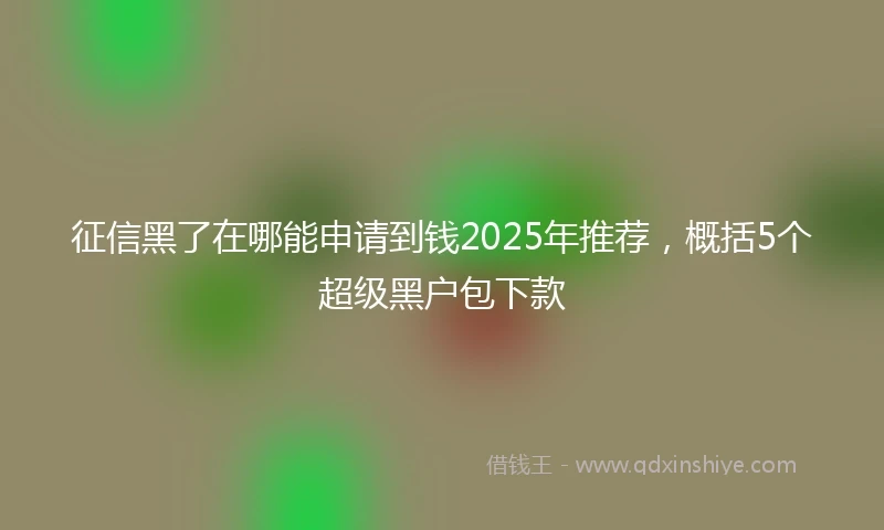 征信黑了在哪能申请到钱2025年推荐，概括5个超级黑户包下款