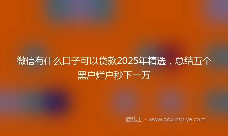 微信有什么口子可以贷款2025年精选,总结五个黑户烂户秒下一万