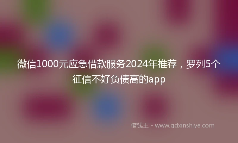 微信1000元应急借款服务2024年推荐,罗列5个征信不好负债高的app