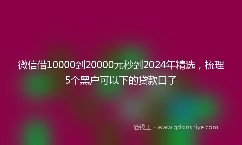 微信借10000到20000元秒到2024年精选，梳理5个黑户可以下的贷款口子