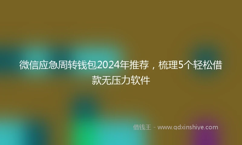 微信应急周转钱包2024年推荐，梳理5个轻松借款无压力软件