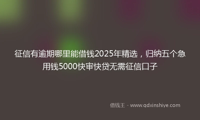 征信有逾期哪里能借钱2025年精选，归纳五个急用钱5000快审快贷无需征信口子