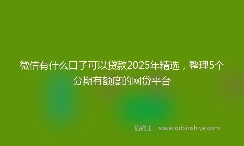 微信有什么口子可以贷款2025年精选，整理5个分期有额度的网贷平台