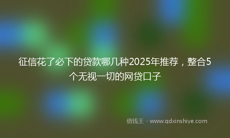 征信花了必下的贷款哪几种2025年推荐，整合5个无视一切的网贷口子
