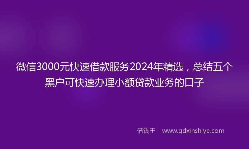 微信3000元快速借款服务2024年精选，总结五个黑户可快速办理小额贷款业务的口子
