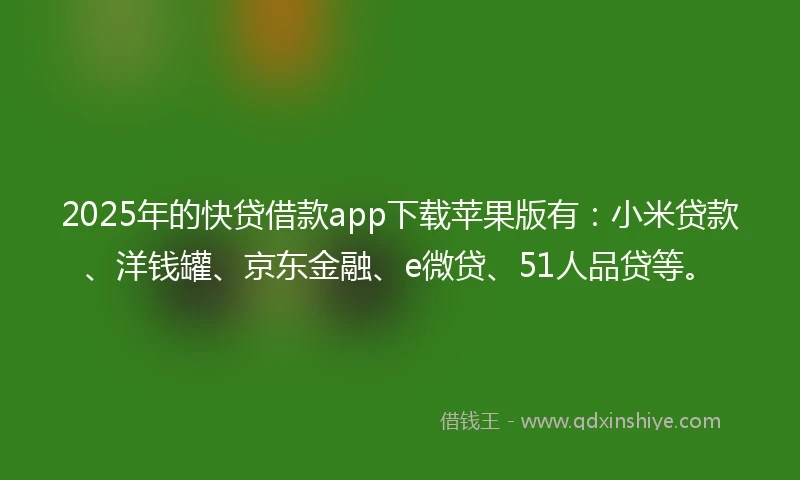 2025年的快贷借款app下载苹果版有:小米贷款、洋钱罐、京东金融、e微贷、51人品贷等。