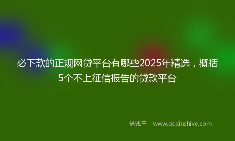 必下款的正规网贷平台有哪些2025年精选，概括5个不上征信报告的贷款平台
