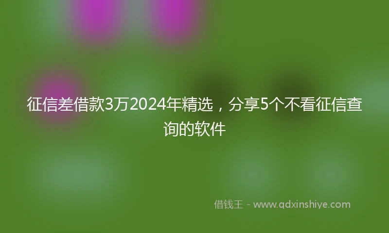 征信差借款3万2024年精选，分享5个不看征信查询的软件