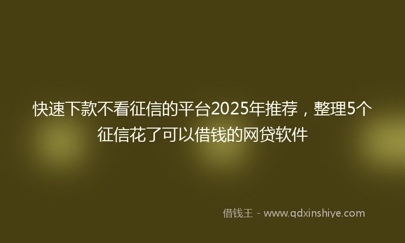 快速下款不看征信的平台2025年推荐，整理5个征信花了可以借钱的网贷软件
