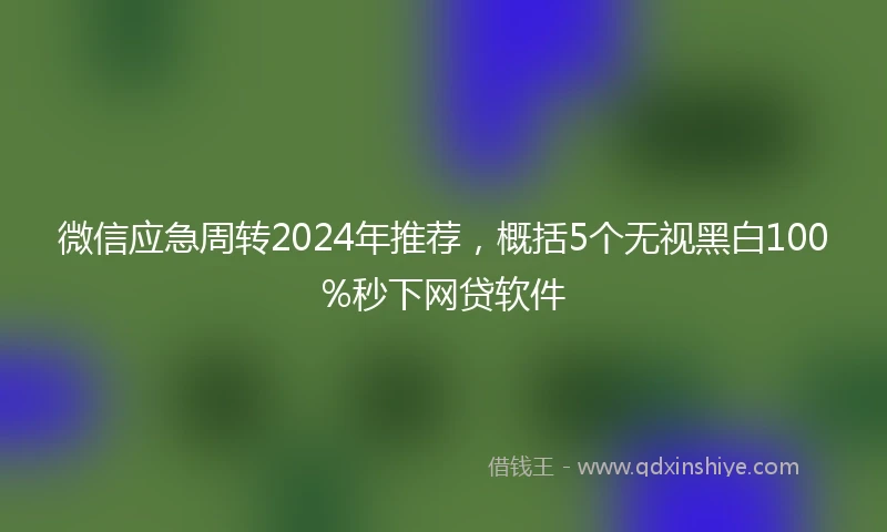 微信应急周转2024年推荐，概括5个无视黑白100%秒下网贷软件