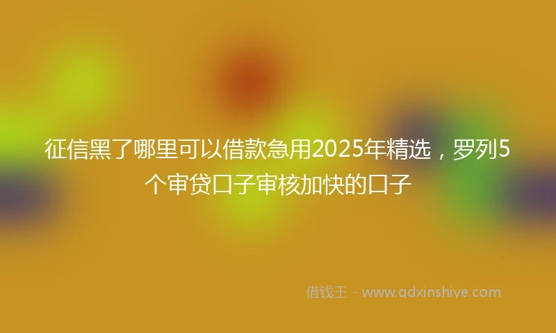征信黑了哪里可以借款急用2025年精选，罗列5个审贷口子审核加快的口子