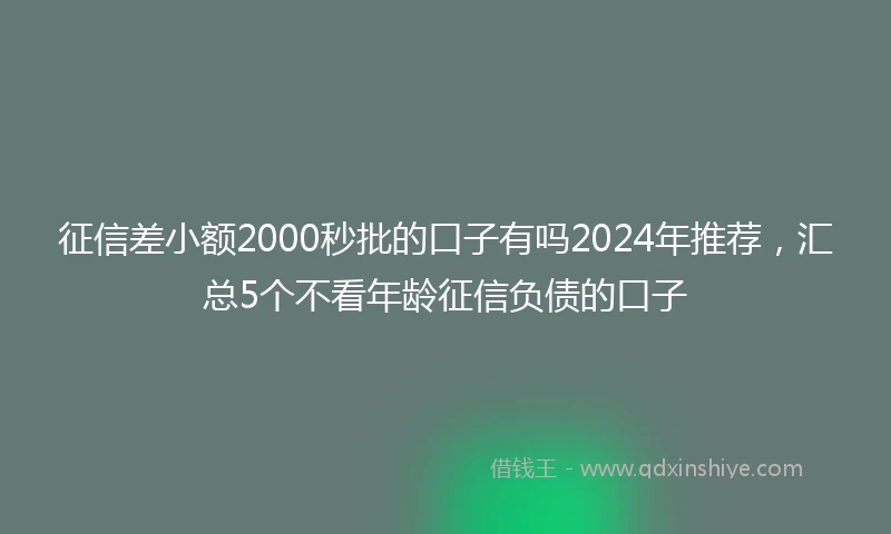 征信差小额2000秒批的口子有吗2024年推荐，汇总5个不看年龄征信负债的口子
