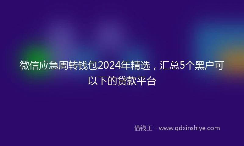 微信应急周转钱包2024年精选，汇总5个黑户可以下的贷款平台