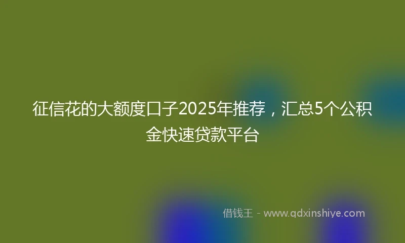 征信花的大额度口子2025年推荐，汇总5个公积金快速贷款平台