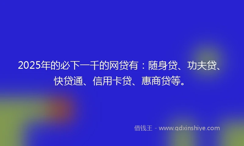 2025年的必下一千的网贷有：随身贷、功夫贷、快贷通、信用卡贷、惠商贷等。