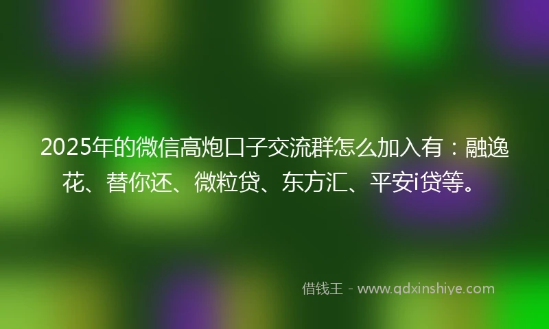 2025年的微信高炮口子交流群怎么加入有：融逸花、替你还、微粒贷、东方汇、平安i贷等。