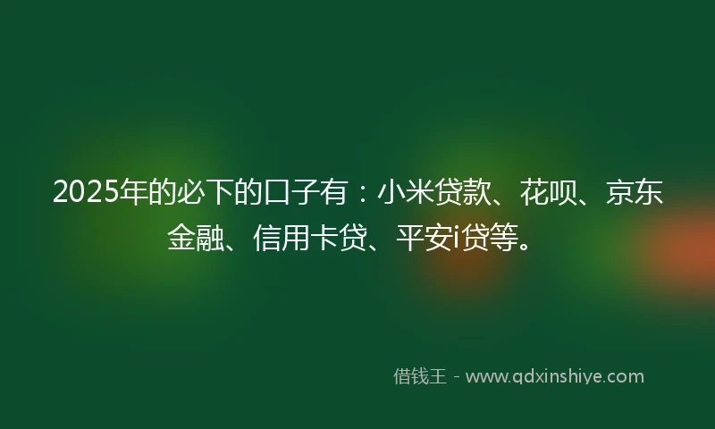 2025年的必下的口子有：小米贷款、花呗、京东金融、信用卡贷、平安i贷等。