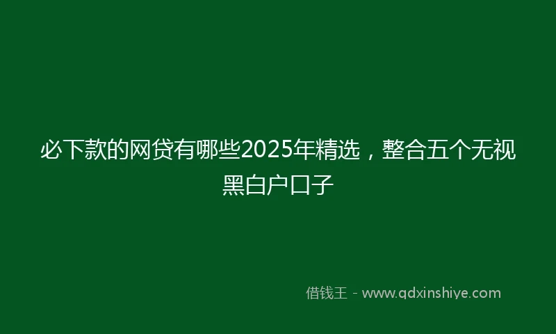必下款的网贷有哪些2025年精选，整合五个无视黑白户口子