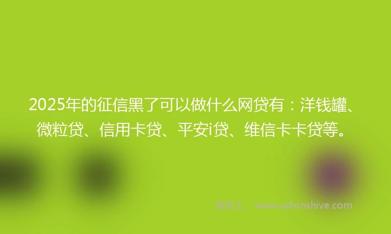 2025年的征信黑了可以做什么网贷有：洋钱罐、微粒贷、信用卡贷、平安i贷、维信卡卡贷等。