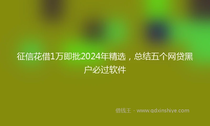 征信花借1万即批2024年精选，总结五个网贷黑户必过软件
