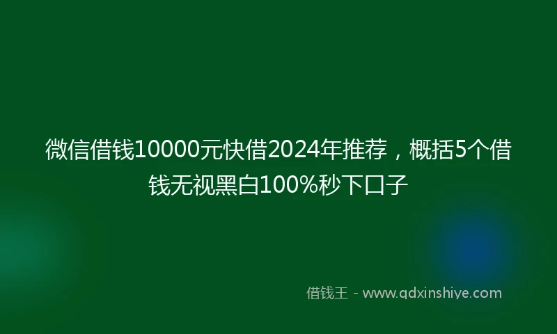 微信借钱10000元快借2024年推荐，概括5个借钱无视黑白100%秒下口子