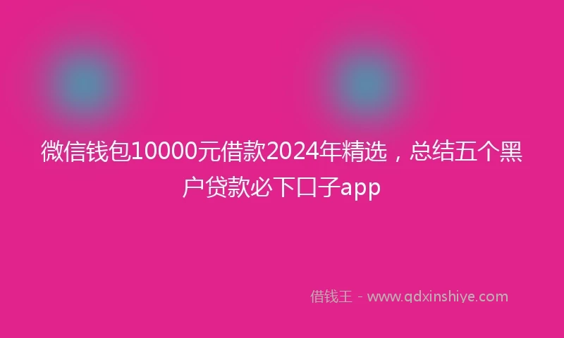 微信钱包10000元借款2024年精选，总结五个黑户贷款必下口子app