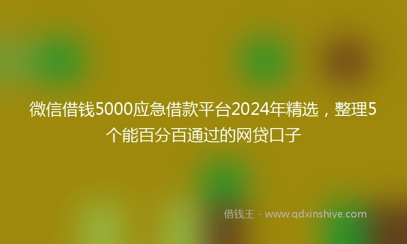 微信借钱5000应急借款平台2024年精选，整理5个能百分百通过的网贷口子