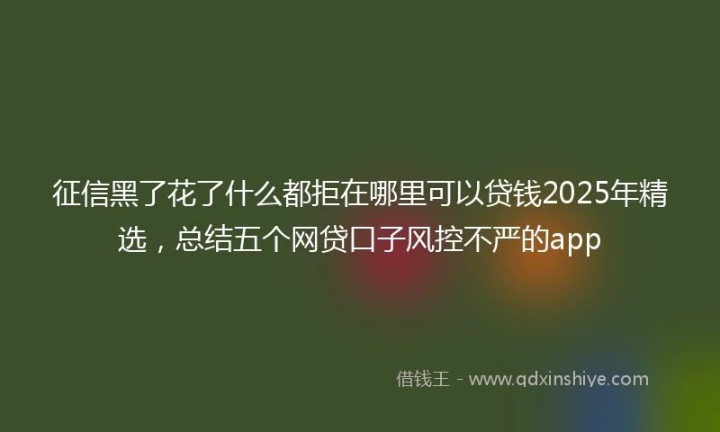 征信黑了花了什么都拒在哪里可以贷钱2025年精选，总结五个网贷口子风控不严的app