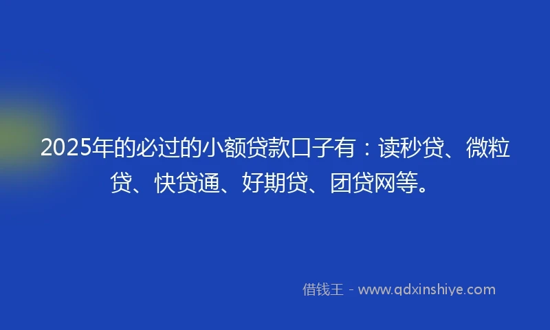 2025年的必过的小额贷款口子有：读秒贷、微粒贷、快贷通、好期贷、团贷网等。