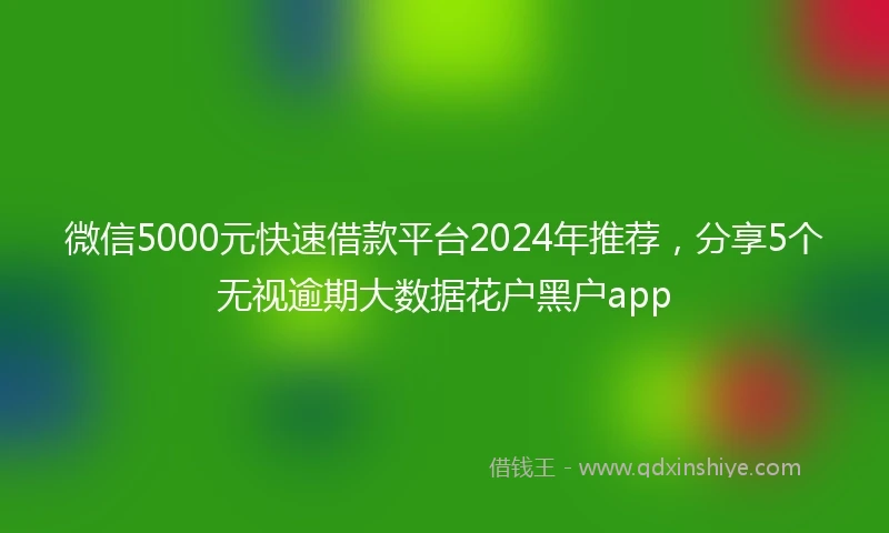 微信5000元快速借款平台2024年推荐，分享5个无视逾期大数据花户黑户app