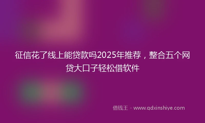 征信花了线上能贷款吗2025年推荐，整合五个网贷大口子轻松借软件