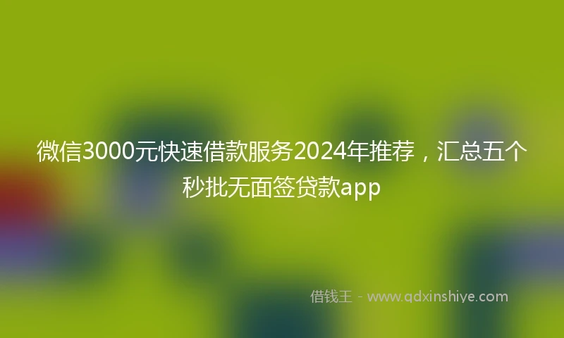 微信3000元快速借款服务2024年推荐，汇总五个秒批无面签贷款app