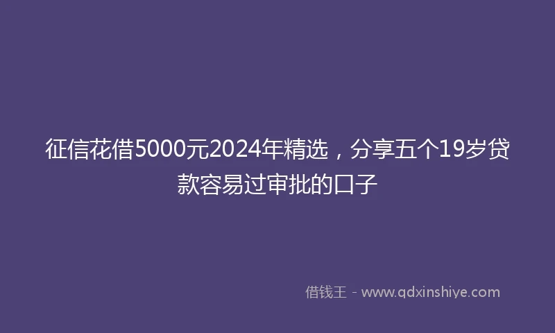 征信花借5000元2024年精选，分享五个19岁贷款容易过审批的口子