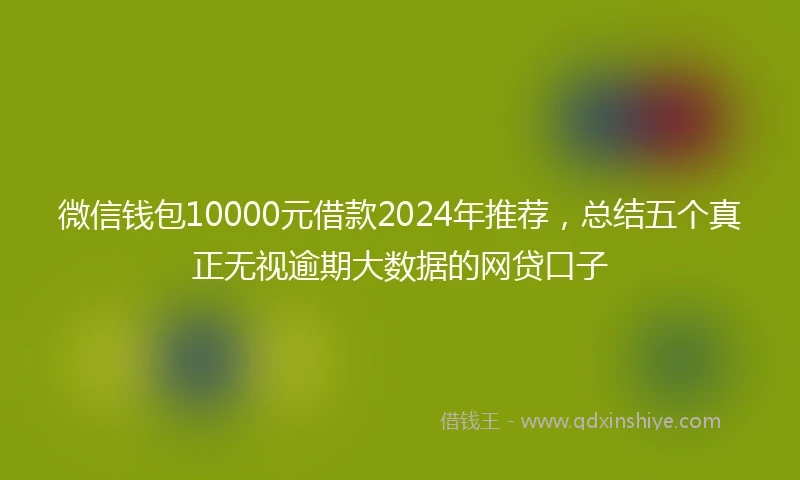 微信钱包10000元借款2024年推荐,总结五个真正无视逾期大数据的网贷口子