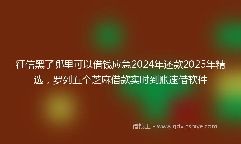 征信黑了哪里可以借钱应急2024年还款2025年精选，罗列五个芝麻借款实时到账速借软件
