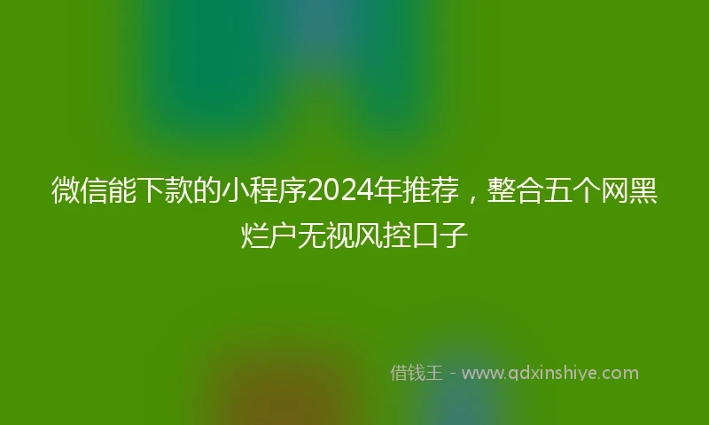 微信能下款的小程序2024年推荐,整合五个网黑烂户无视风控口子