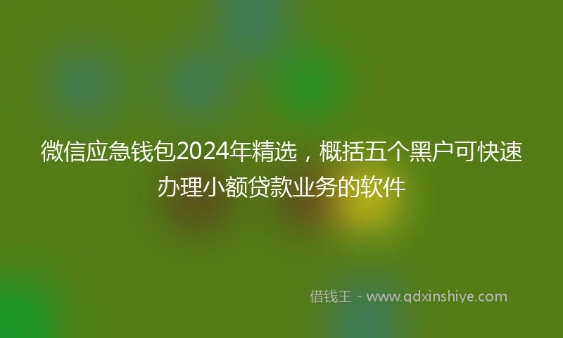 微信应急钱包2024年精选，概括五个黑户可快速办理小额贷款业务的软件