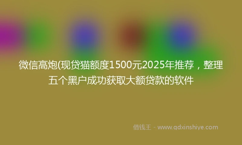 微信高炮(现贷猫额度1500元2025年推荐，整理五个黑户成功获取大额贷款的软件