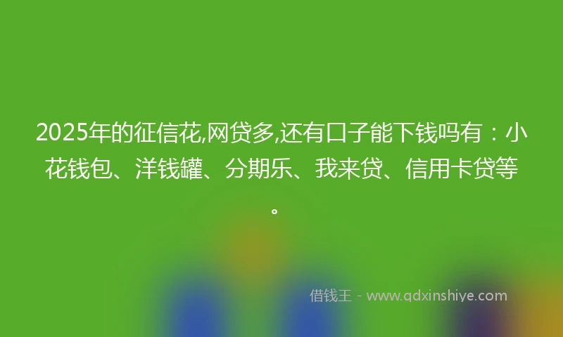 2025年的征信花,网贷多,还有口子能下钱吗有：小花钱包、洋钱罐、分期乐、我来贷、信用卡贷等。