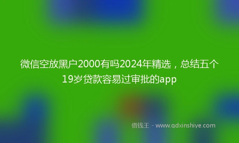微信空放黑户2000有吗2024年精选，总结五个19岁贷款容易过审批的app