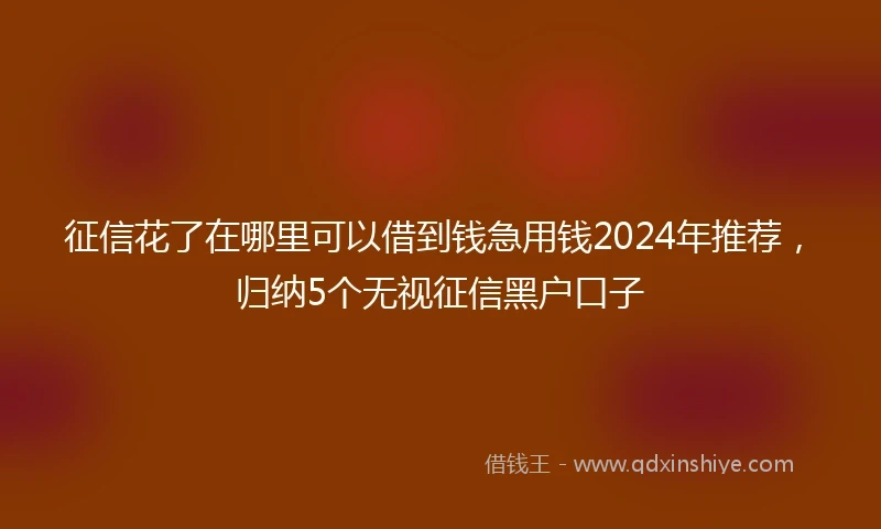 征信花了在哪里可以借到钱急用钱2024年推荐，归纳5个无视征信黑户口子