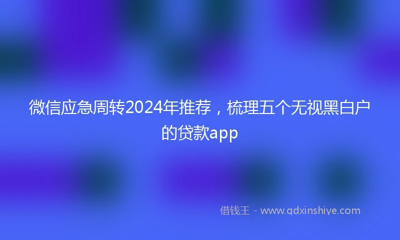 微信应急周转2024年推荐，梳理五个无视黑白户的贷款app
