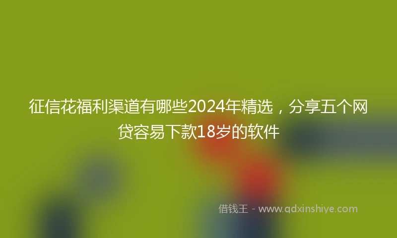 征信花福利渠道有哪些2024年精选，分享五个网贷容易下款18岁的软件