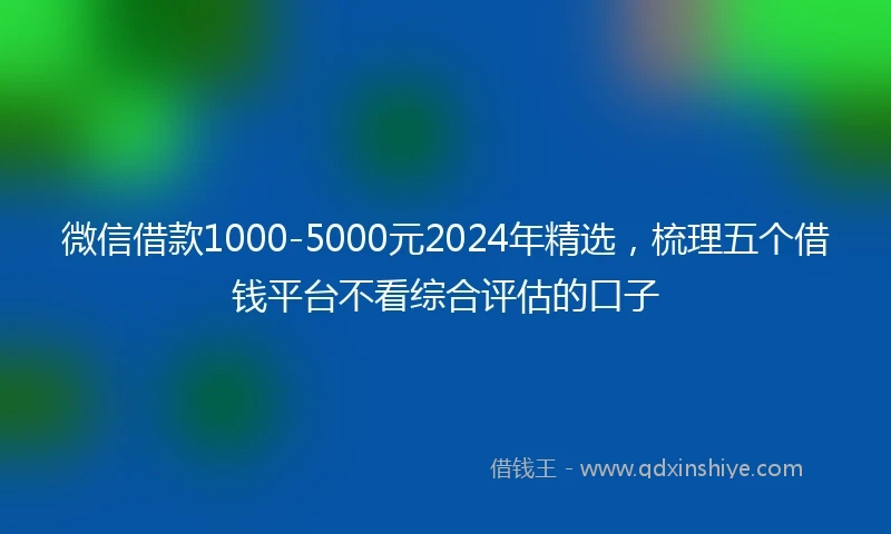 微信借款1000-5000元2024年精选，梳理五个借钱平台不看综合评估的口子
